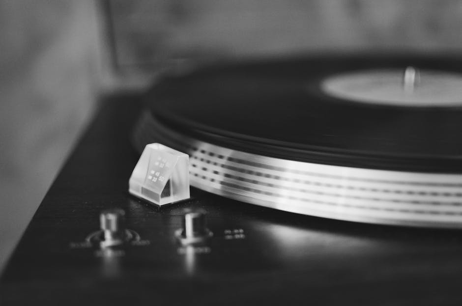 Курсы программирования и UI/UX дизайна